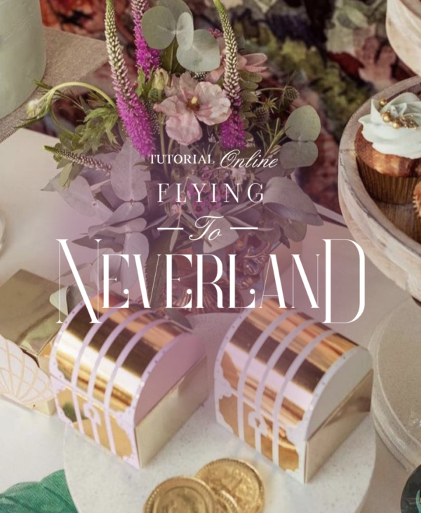 Workshop Flying to Neverland